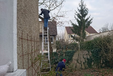 Chene_4.jpg, mar. 2016 Chene_4.jpg